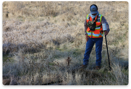 Surveyor
